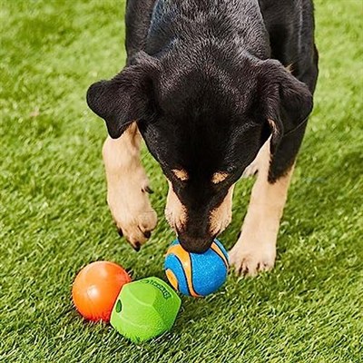 Chuckit! Fetch Medley 3lü Köpek Oyun Topu Seti – Strato Ball, Ultra Squeaker ve Erratic Ball - (M)