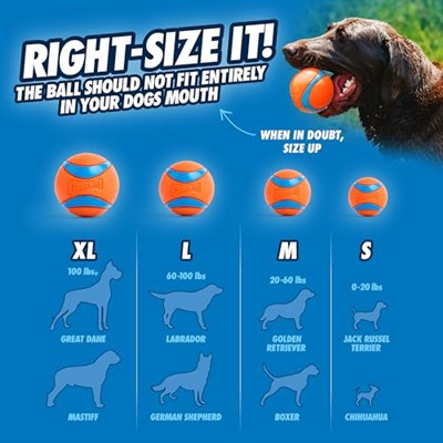 Chuckit! Fetch Medley Gen 3 (Ultra Ball, Fetch Ball, Rugged Ball) 3lü Köpek Oyun Topu Seti (Orta Boy)