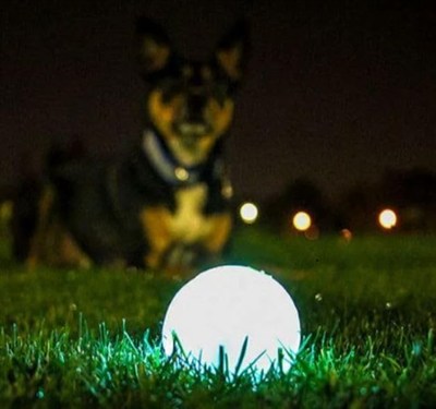 Chuckit! Max Glow Gece Parlayan Oyun Topu (XL) - Fosforlu, Işıkta Parlayan, Dayanıklı, Köpekler İçin Gece Oyun Topu