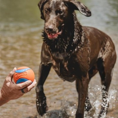 Chuckit! Ultra Ball (XXLarge) - Süper Zıplama ve Suda Yüzme Özelliklerine Sahip, Dayanıklı ve Uzun Ömürlü Doğal Kauçuk Köpek Topu