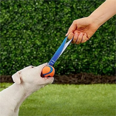 Chuckit! Ultra Tug Köpek Çekiştirmeli Oyun Topu (Small) - Dayanıklı Halatlı Doğal Kauçuk, Yüksek Sıçrama Gücü, Küçük Boy Köpekler İçin - Bedenler: 1 adet (1li paket), S