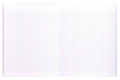 Clairefontaine 323751C A Mavi Mimesys Zımbalanmış Defter - 17x22 cm - 48 Seyes Çizgili - 90 g Beyaz Kağıt - Polypro Kapak