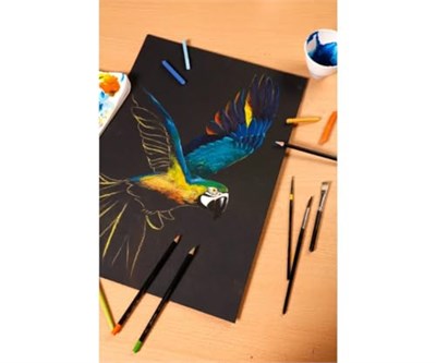 Clairefontaine 975168C Block PaintOn (20 yaprak, baş taraftan yapıştırılmış, 250 g, DIN A5) 1 adet siyah - Seçenekler: A3 (29,7x42 cm), A4 (21x29,7 cm), A5 (14,8x21 cm)...