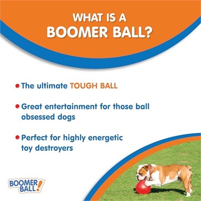 Company of Animals Boomer Köpek için Sert Oyun Topu 10 cm
