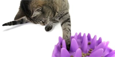 Company of Animals Company of Animals Catch Etkileşimli Yavaş Kedi Besleyici