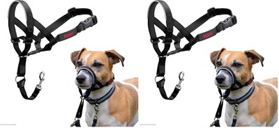 Company of Animals Halti Baş Tasması, Dolgulu Burun Bandı, Ayarlanabilir ve Yansıtıcı, Küçük Köpekler İçin Profesyonel Çekme Önleyici Eğitim Yardımcısı (Boyut  - Seçenekler: 0 (2 paketi), 1 (2 paketi)