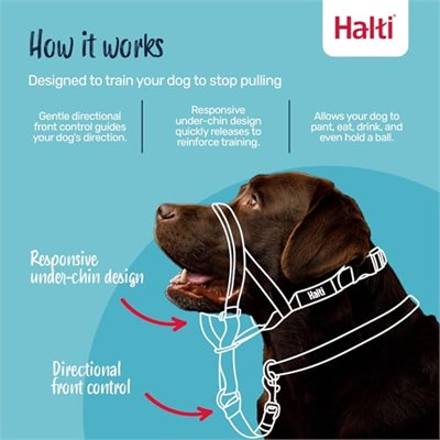 Company of Animals Halti Baş Tasması - Dolgulu Burun Bandı, Ayarlanabilir ve Yansıtıcı, Küçük Köpekler İçin Profesyonel Çekme Önleyici Eğitim Yardımcısı (Boyut - Seçenekler: 0 (2 paketi), 1 (2 paketi)