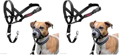 Company of Animals Halti Baş Tasması, Dolgulu Burun Bandı, Ayarlanabilir ve Yansıtıcı, Küçük Köpekler İçin Profesyonel Çekme Önleyici Eğitim Yardımcısı (Boyut  - Seçenekler: 0 (2 paketi), 1 (2 paketi)
