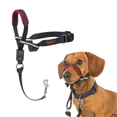 Company of Animals Halti Optifit Baş Tasması - Dolgulu Burun Bandı, Ayarlanabilir ve Yansıtıcı, Küçük Köpekler için Profesyonel Çekme Önleyici Eğitim Yardı - Seçenekler: Küçük (3 paketi), large, Küçük