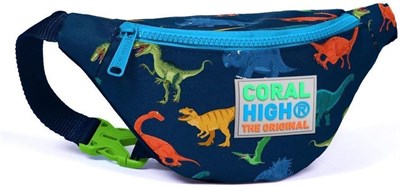 Coral High Dinazor Desenli Erkek Çocuk Bel Çantası