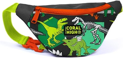 Coral High Kız Çocuk Günlük Bel Çantası Gri Yeşil Dinazor