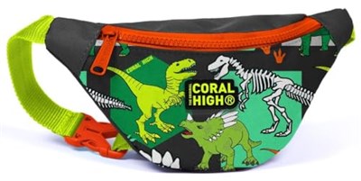 Coral High Kız Çocuk Günlük Bel Çantası Gri Yeşil Dinazor