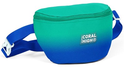 Coral High Yeşil Saks Renk Geçişli Baskılı Erkek Çocuk Bel Çantası