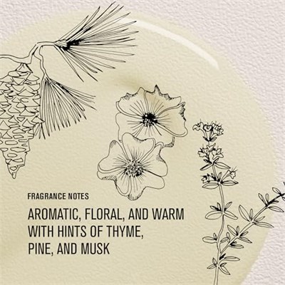 Davines OI/OIL Tüm Saç Tipleri İçin Bakım İksiri 50ml 1 Paket (1 x 54 Adet)