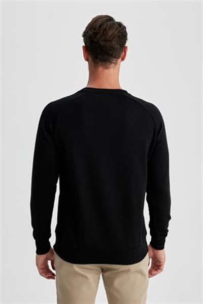 DeFacto A5281AX Sweatshirt Erkek