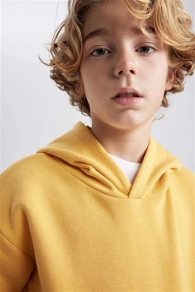 DeFacto Erkek Çocuk Regular Fit Kapüşonlu Sweatshirt