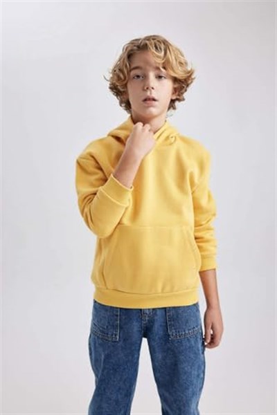DeFacto Erkek Çocuk Regular Fit Kapüşonlu Sweatshirt