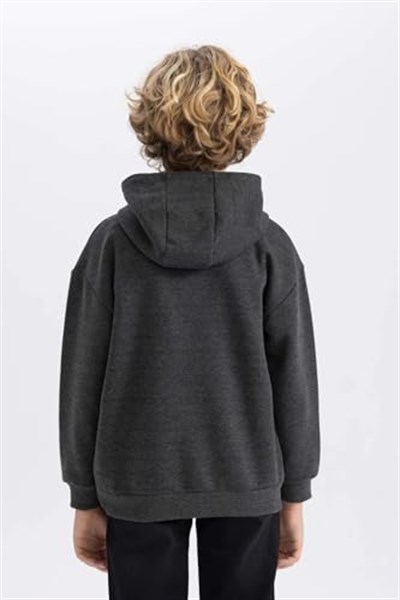 DeFacto Erkek Çocuk Regular Fit Kapüşonlu Sweatshirt