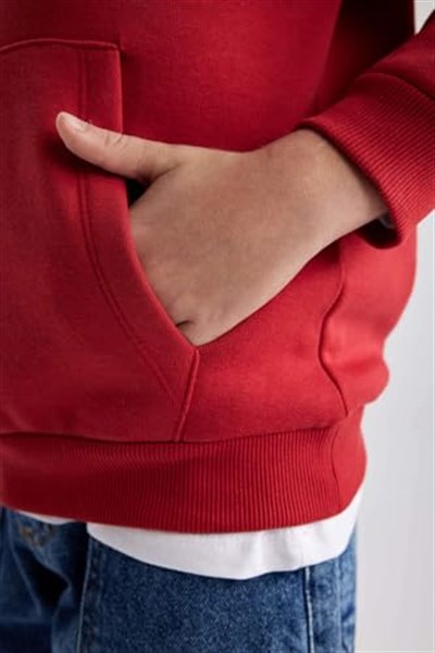 DeFacto Erkek Çocuk Regular Fit Kapüşonlu Sweatshirt