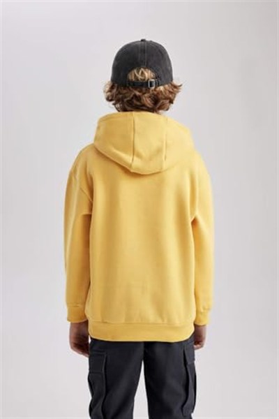 DeFacto Erkek Çocuk Regular Fit Kapüşonlu Sweatshirt