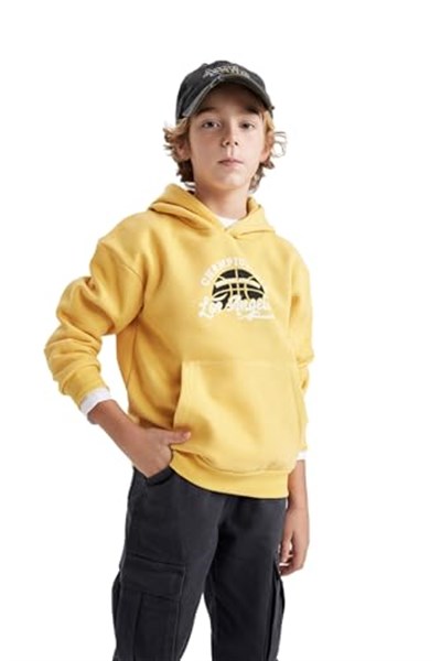 DeFacto Erkek Çocuk Regular Fit Kapüşonlu Sweatshirt