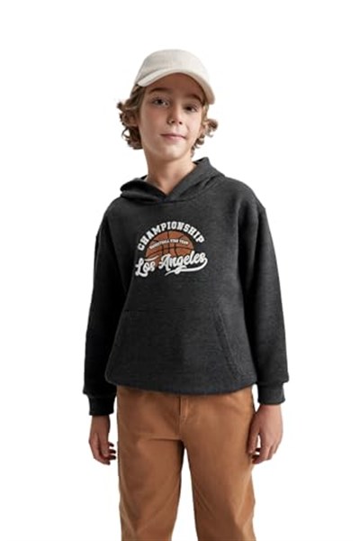 DeFacto Erkek Çocuk Regular Fit Kapüşonlu Sweatshirt
