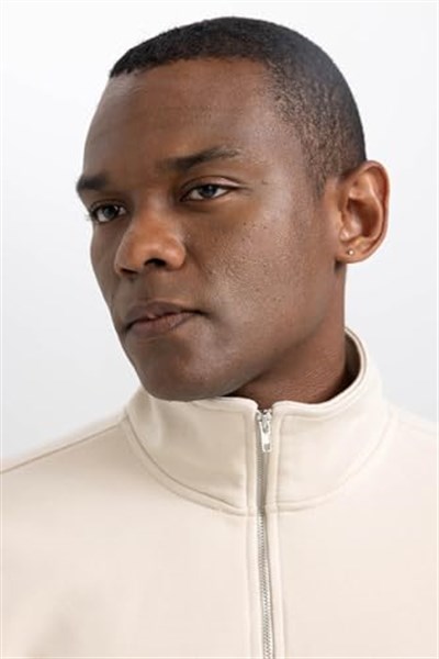 DeFacto Erkek Comfort Fit Dik Yaka Sweatshirt