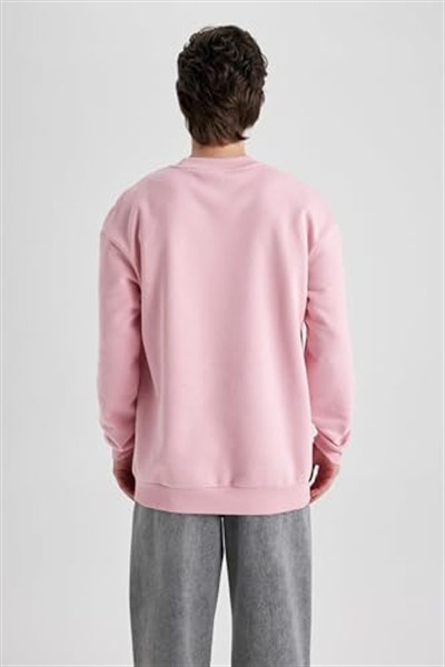 Defacto Erkek Sweatshirt V5306az