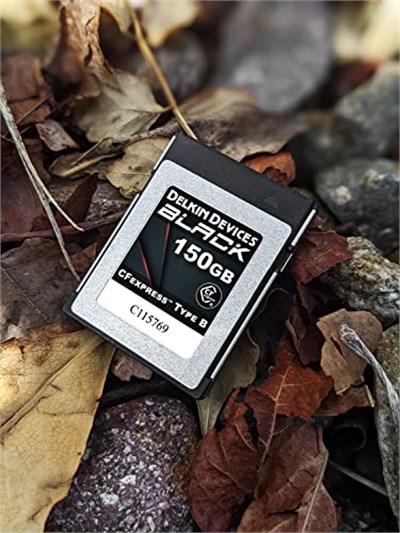 Delkin Devices 150GB SİYAH CFexpress Tip B Hafıza Kartı