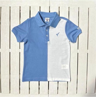 DEMOİSELLE POLO YAKA İKİ RENK ERKEK ÇOCUK TİŞÖRT-1