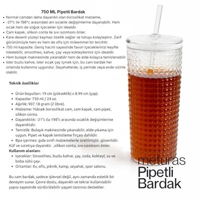 Desenli Borosilikat Pipetli Cam Bardak, 550 ml, Kapaklı ve Pipetli, Soğuk İçecekler İçin Kupa Mug