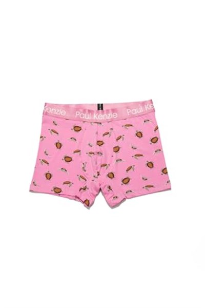 Desenli Erkek Boxer – Eco Characters – Turtley