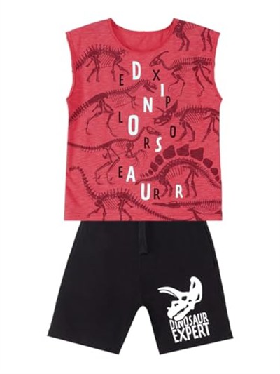 Dinosaur Expert Erkek Çocuk T-shirt Şort Takım