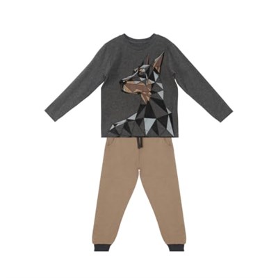 Doberman Erkek Çocuk T-shirt Pantolon Takım