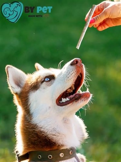 Doğal İşkembeli Köpek Ödül Maması, Köpek Munchy Çubuk 40 Adet