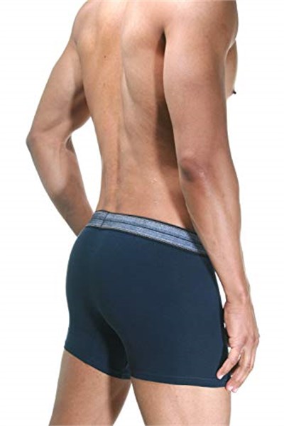 DOREANSE 1776 ERKEK MODAL KOT DESEN MAVİ BOXER