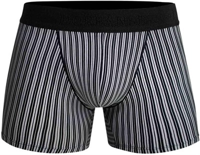 Doreanse Erkek Modal Çizgi Desenli Normal Paça Boxer 1866