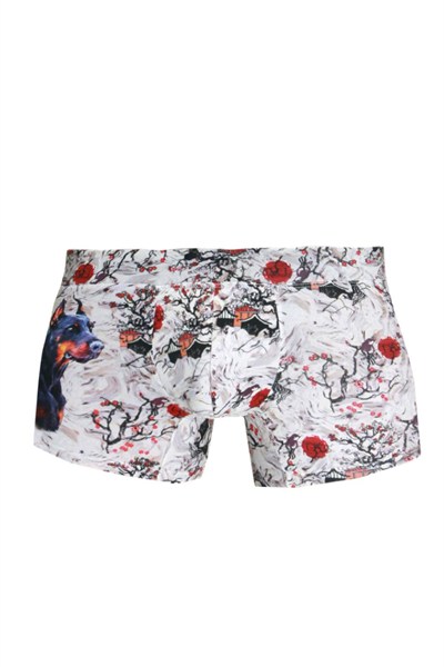 Doreanse Erkek Modal Çok Renkli Baskılı Torbalı Normal Paça Boxer 1808