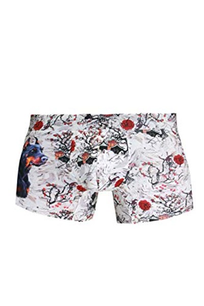Doreanse Erkek Modal Çok Renkli Baskılı Torbalı Normal Paça Boxer 1808