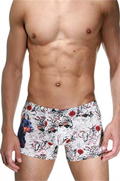Doreanse Erkek Modal Çok Renkli Baskılı Torbalı Normal Paça Boxer 1808