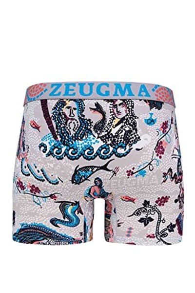 Doreanse Erkek Modal Çok Renkli Baskılı Torbalı Normal Paça Boxer 1806