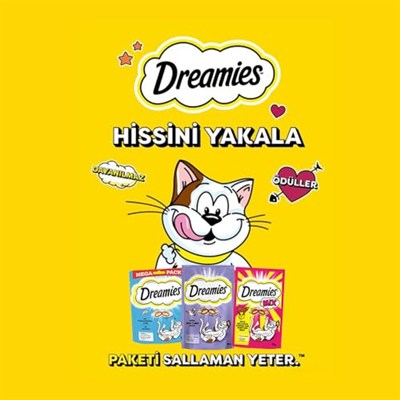 Dreamies Kuru Kedi Ödül Maması, Somonlu ve Peynirli, 60 G