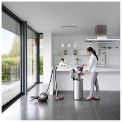 Dyson Big Ball Absolute 2