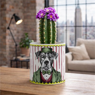 Egan Italy Human Essence 2li Köpek Desenli Mini Saksı Seti
