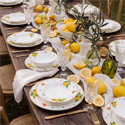 Emsan Forever Bone Solemon 24 Parça 6 Kişilik Yemek Takımı