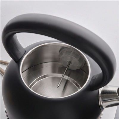 Emsan Retro Su Isıtıcısı 2202 Inox 1,7L 2200W