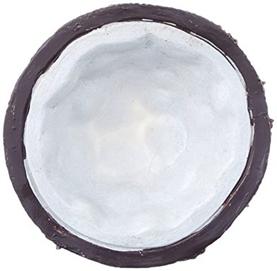 Exo Terra Ex Coconut Su Kabı Water Dish
