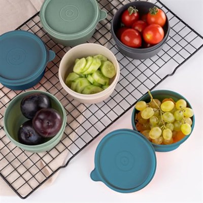 EYNEL 4lü Yuvarlak Mini Saklama Kabı Küçük Sızdırmaz Kapaklı Çok Renkli Pratik Amaçlı Kap Erzak Çerez Piknik Gıda (280, Yuvarlak, 4, Set 1)