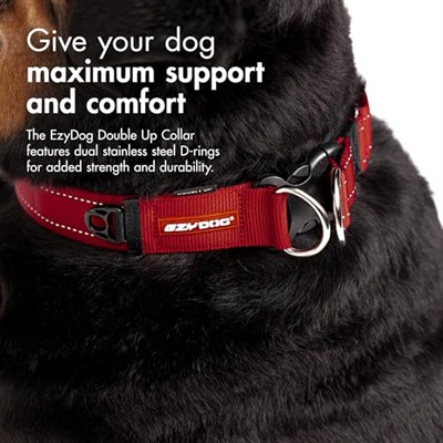 Ezydog Collar Double Up Medium Köpek Boyun Tasması Kırmızı