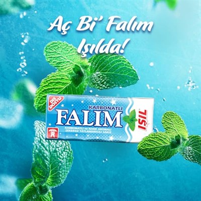 Falım 5li Işıl Karbonat ve Nane Aromalı Şekersiz Sakız 40 gr
